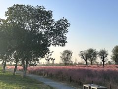 -汉长安城未央宫国家考古遗址公园