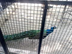 -石家庄市动物园