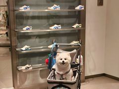-首创奥特莱斯(北京店)