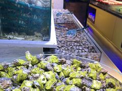 -聚盛源蒸汽海鲜火锅烤肉自助(巨川金海岸购物广场店)