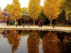-莲花池公园