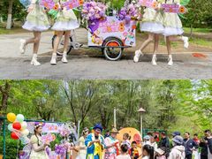 -长白岛森林公园