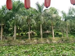 -揭东万竹园旅游景区