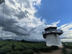 -海南霸王岭国家森林公园