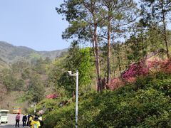 -木兰云雾山