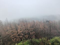 -山王坪喀斯特国家生态公园