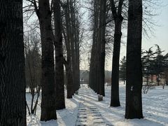 -晋祠公园