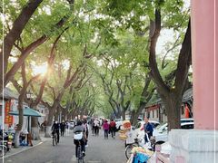 -北京国子监胡同
