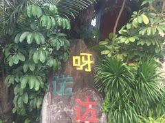 -呀诺达热带雨林