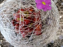 -怡和家宴(天立·观澜国际店)