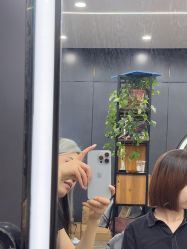 -藤野造型