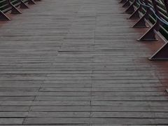 -金鸡岭桥头公园