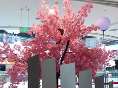 -宝龙广场(蓬莱区)