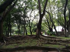 -屯门公园
