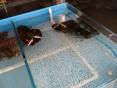 -盛华世家商业广场农贸水产综合批发市场