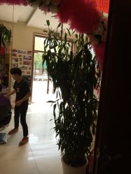 -卡尔诗·科技美肤连锁