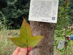 -世间香境·七溪地