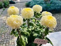 -杭州植物园