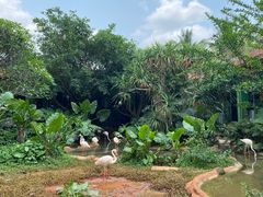 -海南热带野生动植物园