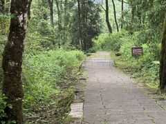 -西岭雪山大飞水景区
