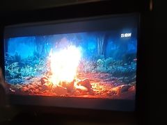 -美足时光•水疗SPA(龙泉店)