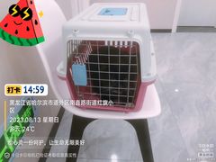 -宠颐生宠物医院·综合诊疗(先锋分院)