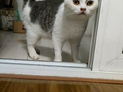-暖阳宠物医院·犬猫康复中心·骨科