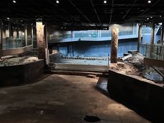 -元代水闸遗址博物馆