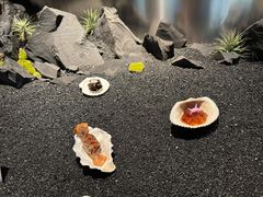 -曲廊院(东四十一条店)