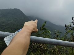 -梧桐山风景名胜区