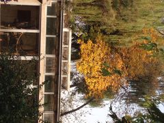 iphone_upload_pic-北京动物园