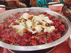 沸腾黑鱼-天天沸腾(东港路店)