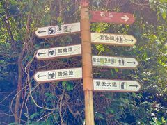 -紫云谷景区