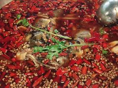 -味之绝热血美蛙鱼火锅(中坝店)