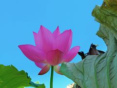 -嘉北郊野公园