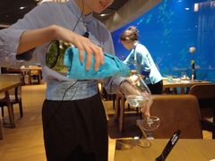 -海棠湾洲际-涛·海底餐厅·美人鱼·自助餐·海底隧道
