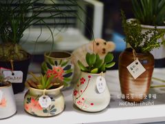 -杭州街角花屋花店(闻堰店)