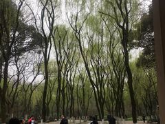 -柳浪闻莺公园