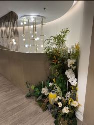 -北京漾格医疗美容医院