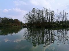 -桤木河湿地公园