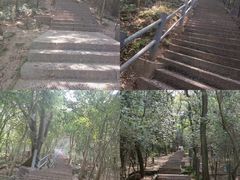 -紫金山山顶公园
