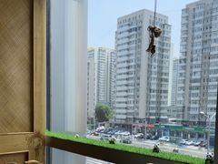 -小吊梨汤·北京菜·烤鸭(双井乐成中心店)