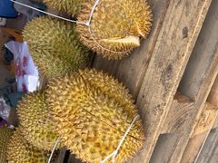 -大连果菜批发市场