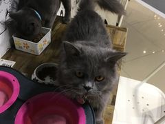 -小时光咖啡馆(开森度假森林店)