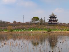 -上海海湾国家森林公园