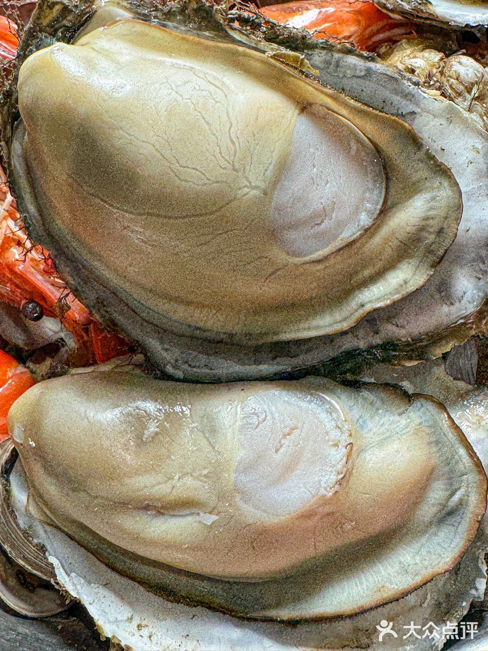 带爸妈吃秦皇岛！捞饭鲜到想打包！！