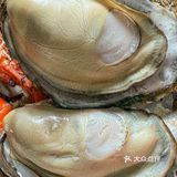 带爸妈吃秦皇岛！捞饭鲜到想打包！！