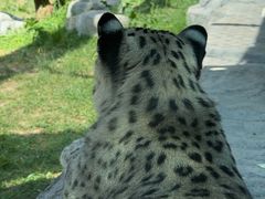 -青藏高原野生动物园