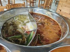 -龙大头庖汤店