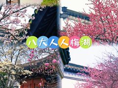 -八大山人梅湖景区